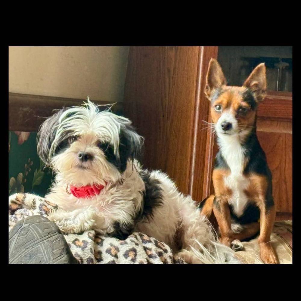 Meet your Posher, Ed